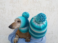 Clothes for mom and dachshund set of knitted hats with pompom