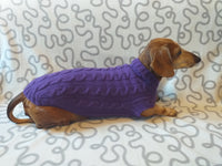 Purple knitted sweater for dogs, clothes for dachshunds, sweater for dogs, clothes for dogs, sweater for small dogs, dachshund sweater dachshundknit