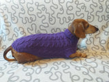 Purple knitted sweater for dogs, clothes for dachshunds, sweater for dogs, clothes for dogs, sweater for small dogs, dachshund sweater dachshundknit