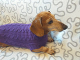Purple knitted sweater for dogs, clothes for dachshunds, sweater for dogs, clothes for dogs, sweater for small dogs, dachshund sweater dachshundknit
