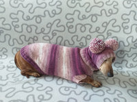Dachshund costume sweater and hat with two pompoms