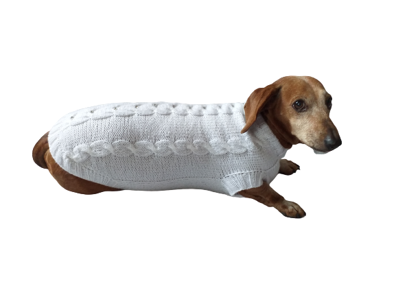 Dachshund Clothing White Party Sweater White Dachshund or Small