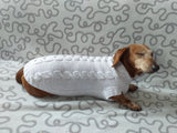 Dachshund Clothing: White Party Sweater, White Dachshund or Small Dog Sweater