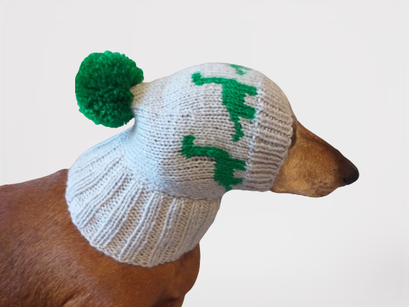 Dog with online dinosaur hat