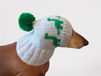 Dinosaur dog clothes pom pom hat, dinosaur hat for dachshund dog
