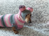 Wiener costume sweater and hat, Doxie sweater and hat set, clothes for small dog of dachshund