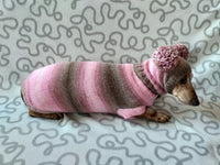 Costume for miniature dachshund sweater and hat, Doxie sweater and hat set