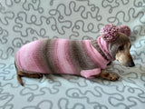 Costume for miniature dachshund sweater and hat, Doxie sweater and hat set