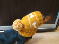 Dog clothes knitted hat with pompom, dog hat with bones