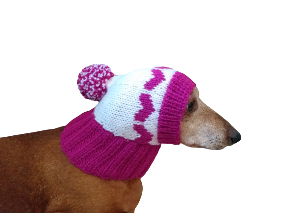 Dog clothes hat with hearts for valentine's day