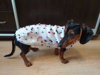 Sweater with flowers and butterflies for miniature dachshund or small dog