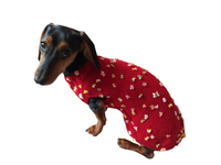 Sweater with flowers and butterflies for miniature dachshund or small dog. dachshundknit