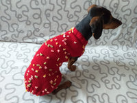 Sweater with flowers and butterflies for miniature dachshund or small dog. dachshundknit