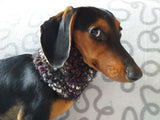 Pompom scarf snood for dachshund, scarf snood for small dogs, snood for dachshund, scarf for dachshund