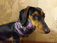 Wool scarf snood for dogs, scarf snood for small dogs, snood for dachshund, scarf for dachshund