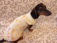 New exclusive collection of sweaters with flowers and butterflies for the miniature dachshund or small dog