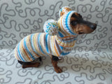 Lollipop suit for mini dachshund sweater and hat,suit set sweater and hat for dog,wiener sweater and hat, dog set sweater and hat set dachshundknit