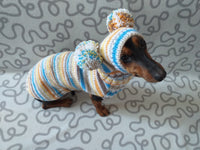 Lollipop suit for mini dachshund sweater and hat,suit set sweater and hat for dog,wiener sweater and hat, dog set sweater and hat set dachshundknit