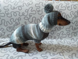 Suit for mini dachshund sweater and hat,knitted suit sweater and hat for dachshund or small dog, suit set sweater and hat for dog