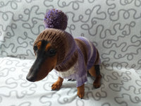 Costume for miniature dachshund sweater and hat, Doxie sweater and hat set, clothes for small dog of dachshund