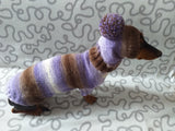 Costume for miniature dachshund sweater and hat, Doxie sweater and hat set, clothes for small dog of dachshund