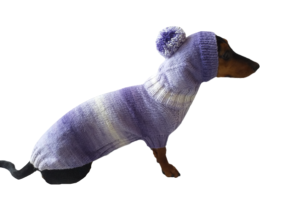 Purple knitwear set for dachshund sweater and hat, costume for miniature dachshund sweater and hat, Doxie sweater and hat set