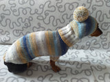 Doxie dachshund costume sweater and hat