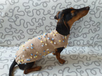 Jumper with flowers for a mini dachshund,Sweater with flowers and butterflies for miniature dachshund or small dog. dachshundknit