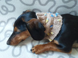 Scarf snood for dog with butterflies and flowers, scarf snood for small dogs, snood for dachshund, scarf for dachshund