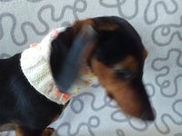 Scarf snood for dog with butterflies and flowers, scarf snood for small dogs, snood for dachshund, scarf for dachshund