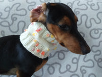 Scarf snood for dog with butterflies and flowers, scarf snood for small dogs, snood for dachshund, scarf for dachshund