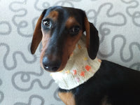 Scarf snood for dog with butterflies and flowers, scarf snood for small dogs, snood for dachshund, scarf for dachshund