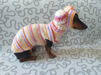 Lollipop suit for mini dachshund sweater and hat,suit set sweater and hat for dog,wiener sweater and hat, dog set sweater and hat set dachshundknit