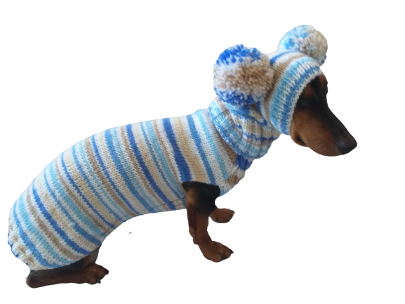 Lollipop suit for mini dachshund sweater and hat,suit set sweater and hat for dog,wiener sweater and hat, dog set sweater and hat set dachshundknit