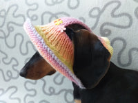 Summer hat for a dog with flowers, summer hat with flowers for a dachshund or small dog
