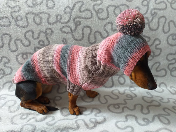 Chewy V Shaggy Dog Hoodie  Winter Comfort for Your Dachshund