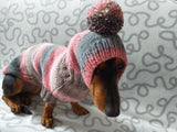 Knitted dog costume set sweater and hat, mini dachshund sweater and hat,suit set sweater and hat for dog,wiener sweater and hat dachshundknit