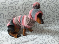 Knitted dog costume set sweater and hat, mini dachshund sweater and hat,suit set sweater and hat for dog,wiener sweater and hat dachshundknit