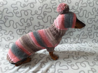 Knitted dog costume set sweater and hat, mini dachshund sweater and hat,suit set sweater and hat for dog,wiener sweater and hat dachshundknit