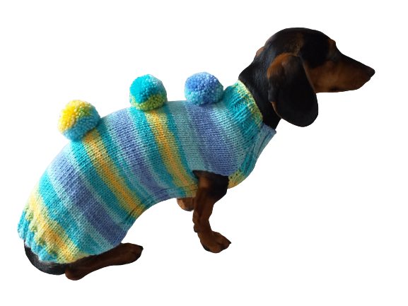 Bright sweater with pompoms for wiener dog Mini Dachshund Jumper