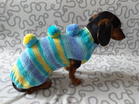 Bright sweater with pompoms for wiener dog, Mini Dachshund Jumper, Clothes Dog Sweater, Sweater for miniature dachshund or small dog.