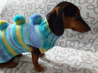 Bright sweater with pompoms for wiener dog, Mini Dachshund Jumper, Clothes Dog Sweater, Sweater for miniature dachshund or small dog.