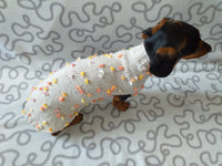 New exclusive collection of sweaters with flowers and butterflies for the miniature dachshund or small dog dachshundknit