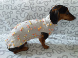 New exclusive collection of sweaters with flowers and butterflies for the miniature dachshund or small dog dachshundknit