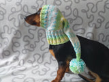 Knitted hat with pom pom for dogs, dachshund hat