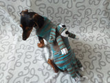 Sweater for a mini dachshund with a toy dog, Mini Dachshund Jumper, Clothes Dog Sweater, Sweater for miniature dachshund or small dog.