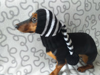 Black and white stripes dog hat with pompom dachshundknit