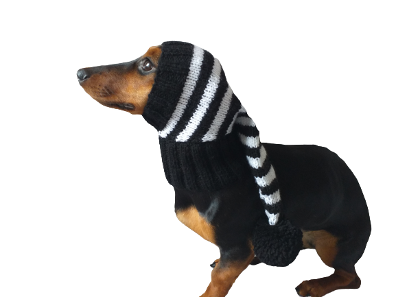Black and white stripes dog hat with pompom dachshundknit