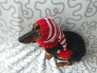 Red and white stripes dog hat with pompom dachshundknit
