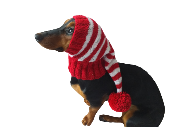 Red and white stripes dog hat with pompom dachshundknit